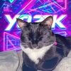 diamondz_fr